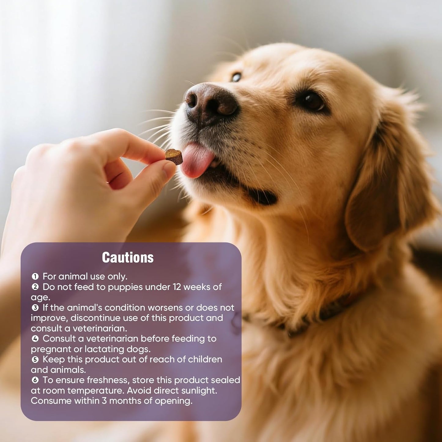 Woofcrunch™ Multivitamins Daily Soft Chews – Advanced Canine Allergy Defense & Itch Relief Formula