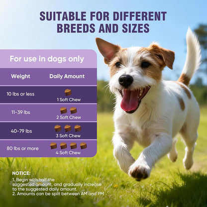 Woofcrunch™ Multivitamins Daily Soft Chews – Advanced Canine Allergy Defense & Itch Relief Formula