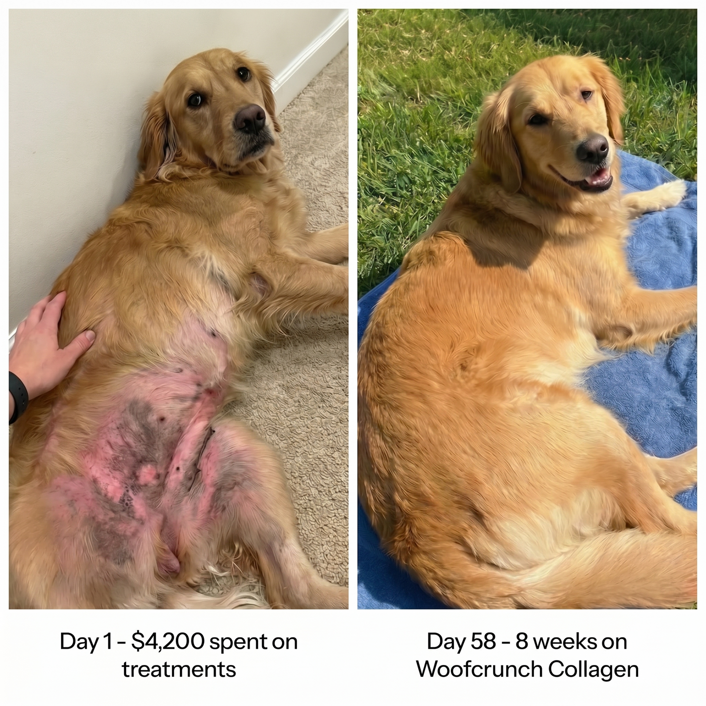 Woofcrunch™ Premium Liquid Collagen