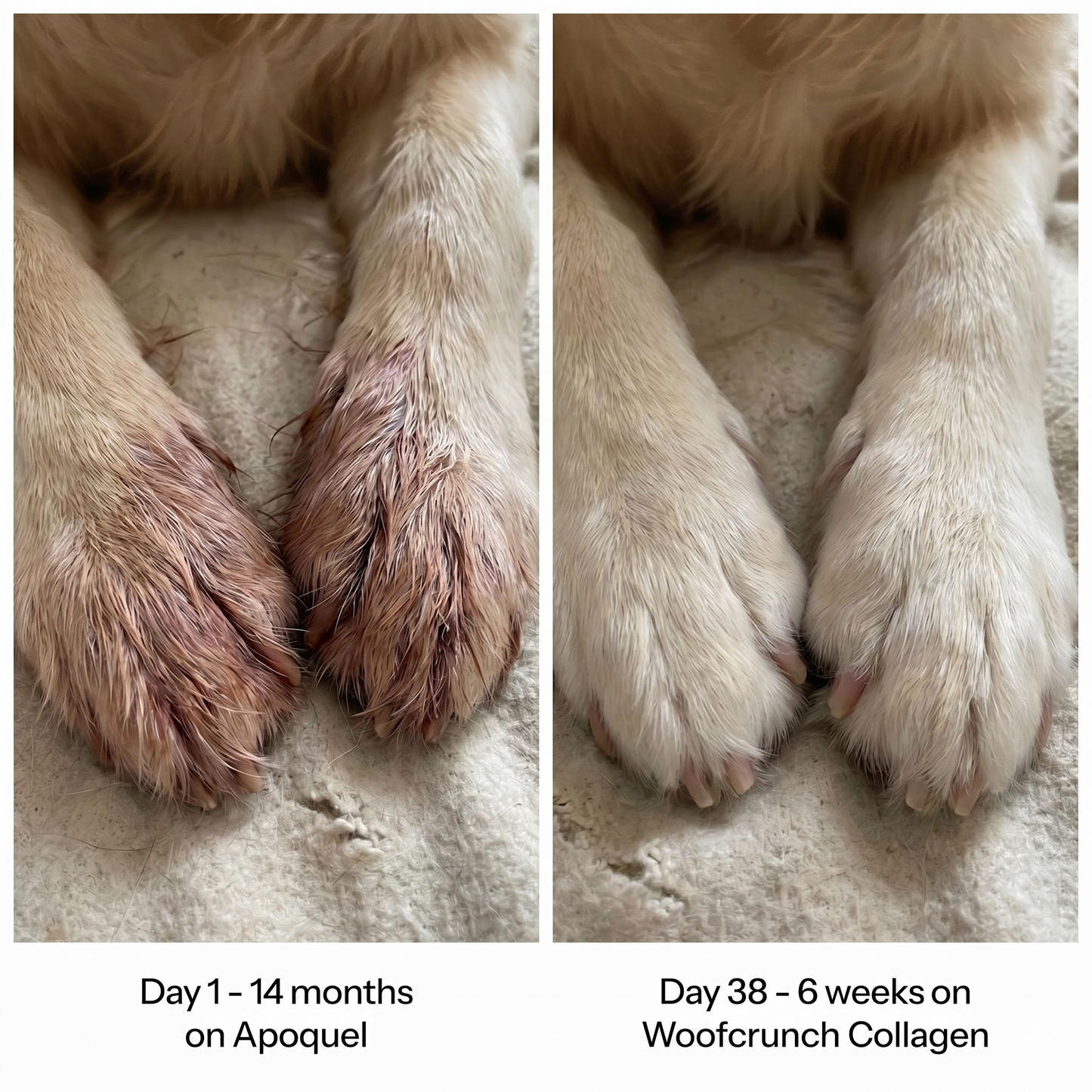Woofcrunch™ Premium Liquid Collagen