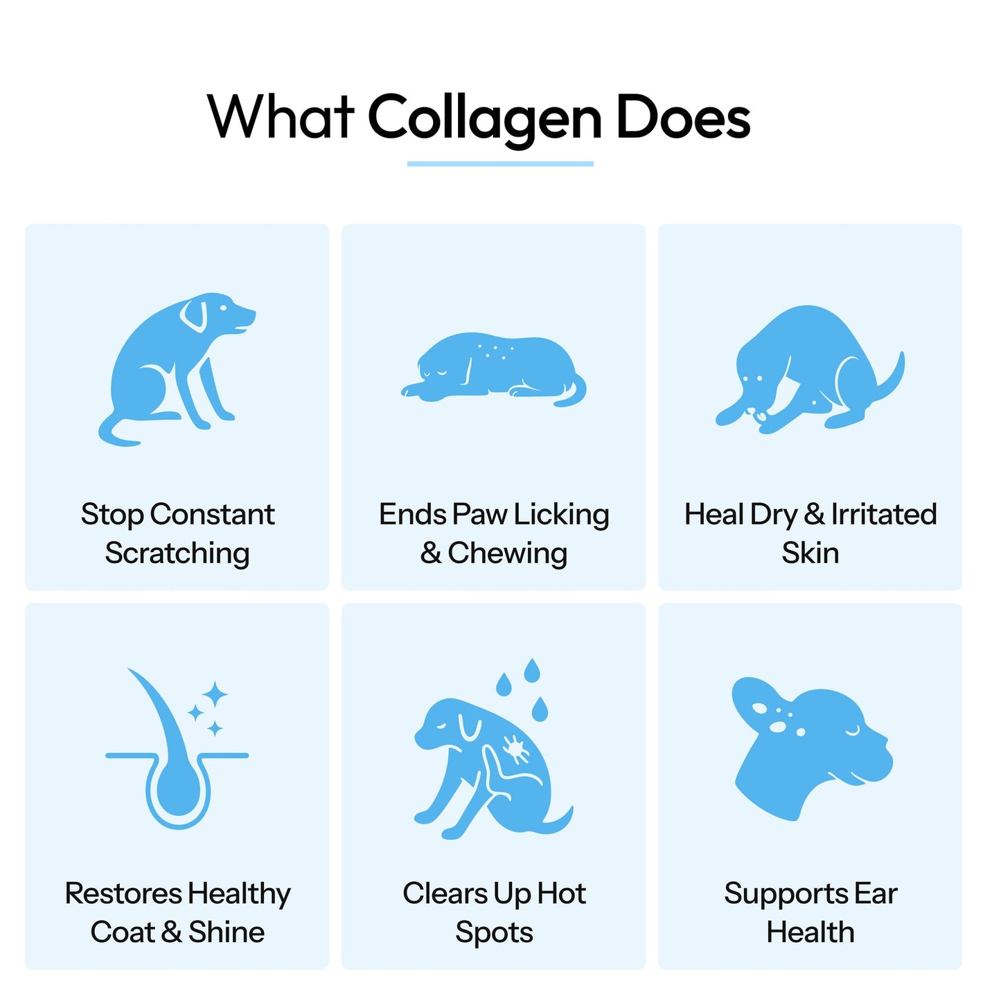 Woofcrunch™ Premium Liquid Collagen